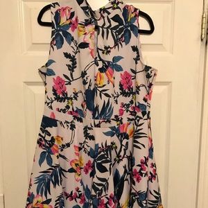 Fashion to figure dress